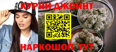 гидра Кимры