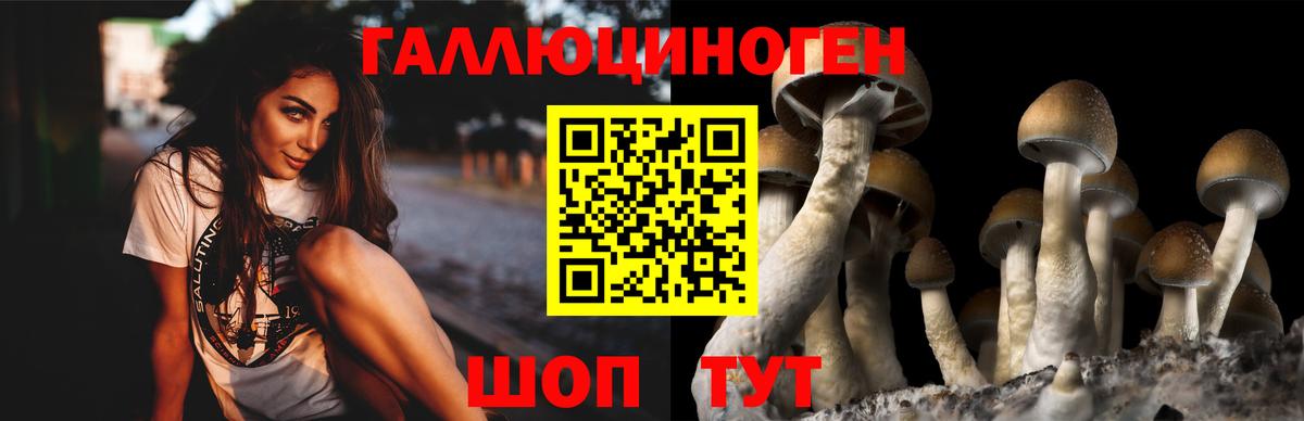Усолье-Сибирское  что такое наркотик  Вход с VPN  Псилоцибиновые грибы ЛСД 
