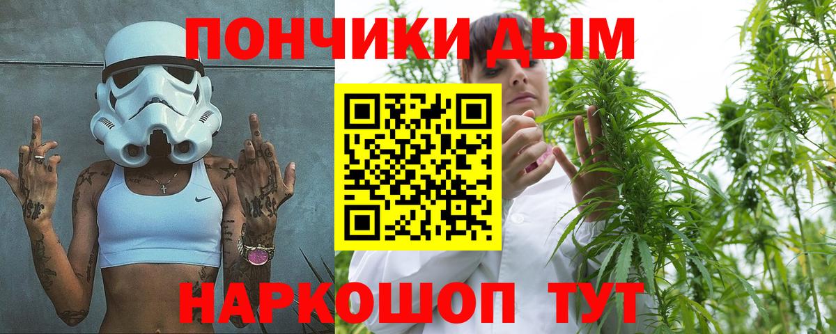 Бошки марихуана марихуана Усолье-Сибирское